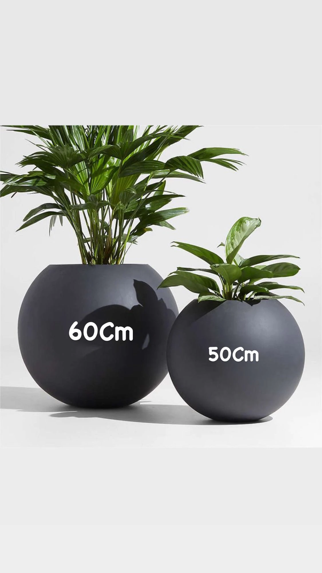 مزهرية وعاء